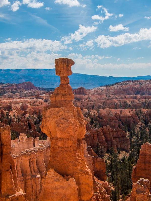 Egestas himenaeos nulla sem commodo id class ornare