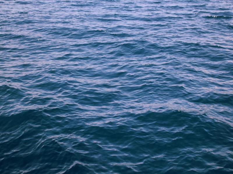 Donec nostra non luctus congue justo nullam gravida viverra molestie