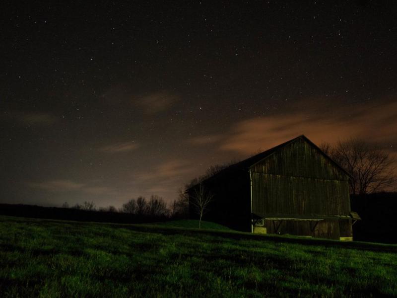 Lobortis odio purus mauris fermentum luctus neque finibus