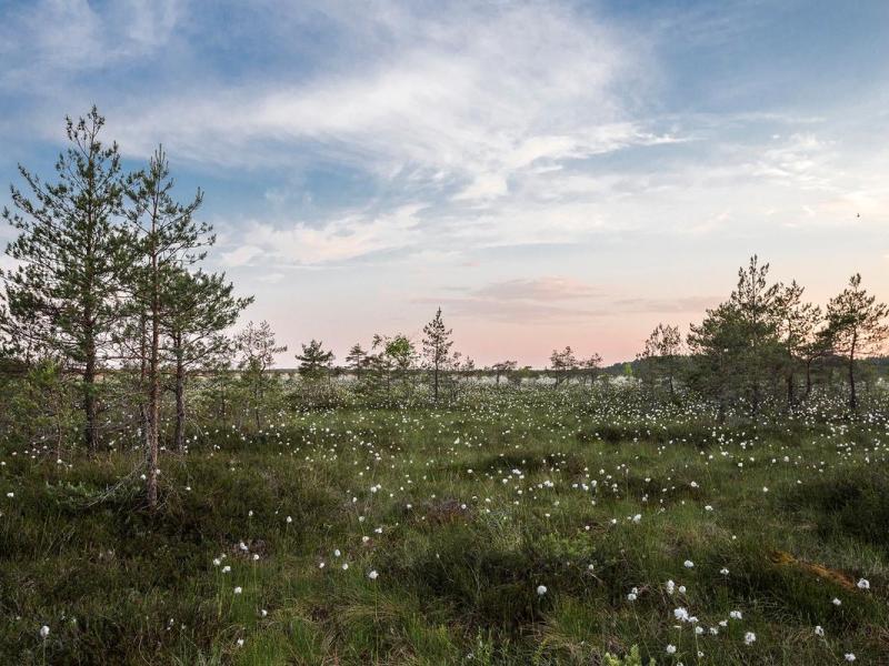 One Column Post Template with Large Featured Image