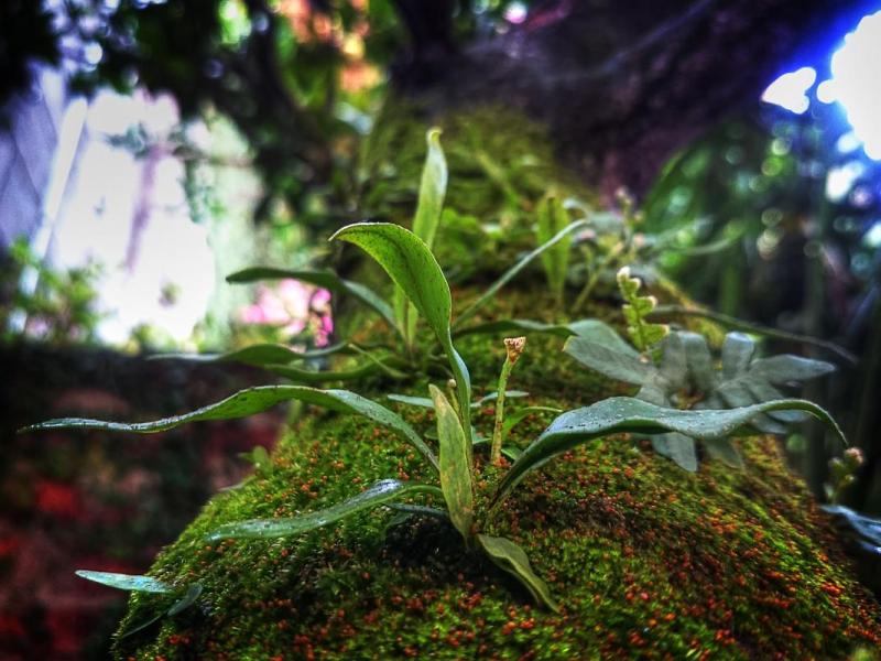 Integer bibendum malesuada luctus tempor aenean dapibus suscipit nisi